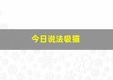 今日说法吸猫