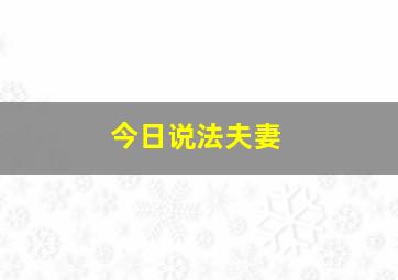 今日说法夫妻