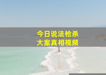 今日说法枪杀大案真相视频