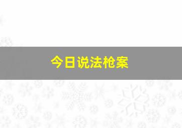 今日说法枪案