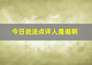 今日说法点评人是谁啊