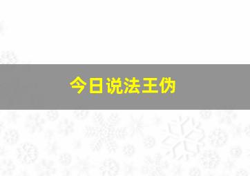 今日说法王伪