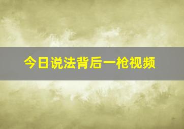 今日说法背后一枪视频