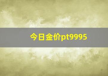 今日金价pt9995