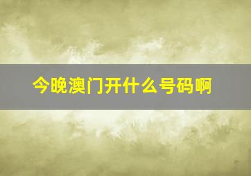 今晚澳门开什么号码啊