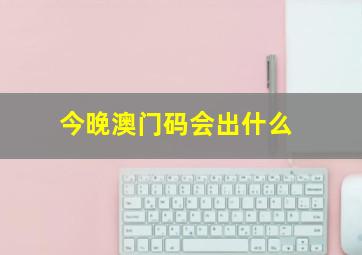 今晚澳门码会出什么