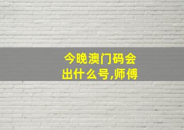 今晚澳门码会出什么号,师傅