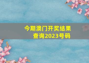 今期澳门开奖结果查询2023号码