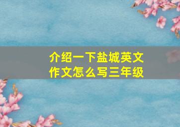 介绍一下盐城英文作文怎么写三年级