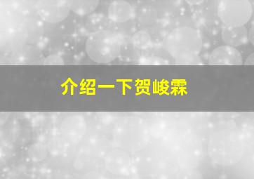 介绍一下贺峻霖