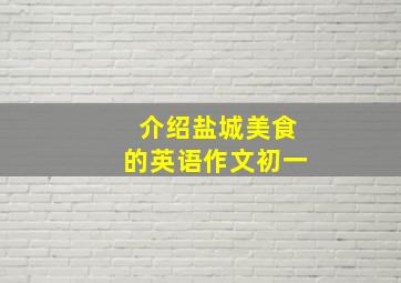 介绍盐城美食的英语作文初一