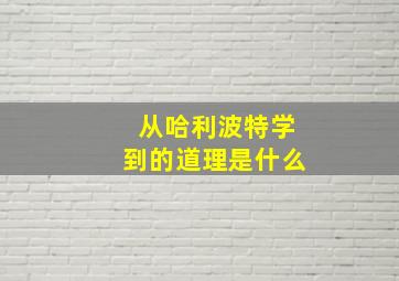 从哈利波特学到的道理是什么