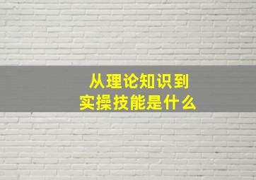 从理论知识到实操技能是什么