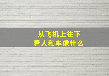 从飞机上往下看人和车像什么