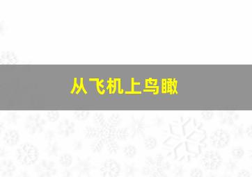 从飞机上鸟瞰