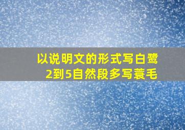 以说明文的形式写白鹭2到5自然段多写蓑毛