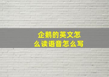 企鹅的英文怎么读语音怎么写