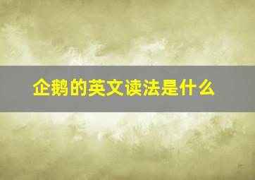 企鹅的英文读法是什么