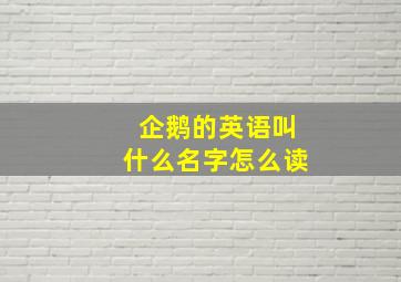 企鹅的英语叫什么名字怎么读