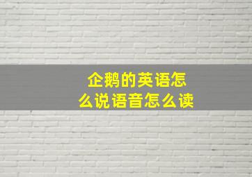 企鹅的英语怎么说语音怎么读