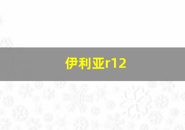 伊利亚r12