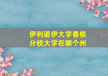 伊利诺伊大学香槟分校大学在哪个州