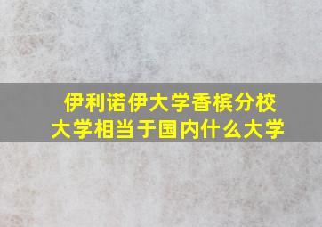 伊利诺伊大学香槟分校大学相当于国内什么大学