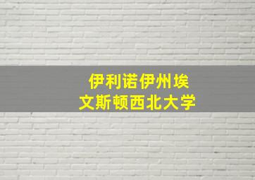 伊利诺伊州埃文斯顿西北大学