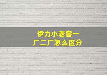 伊力小老窖一厂二厂怎么区分