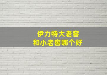 伊力特大老窖和小老窖哪个好