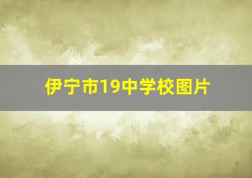 伊宁市19中学校图片