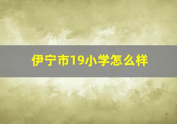 伊宁市19小学怎么样