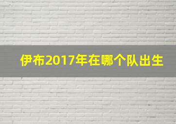 伊布2017年在哪个队出生