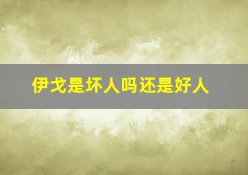 伊戈是坏人吗还是好人