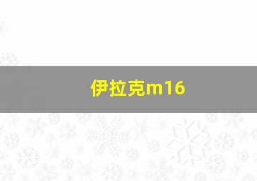 伊拉克m16