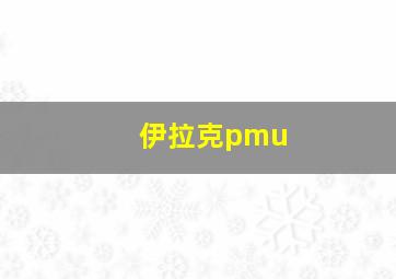 伊拉克pmu