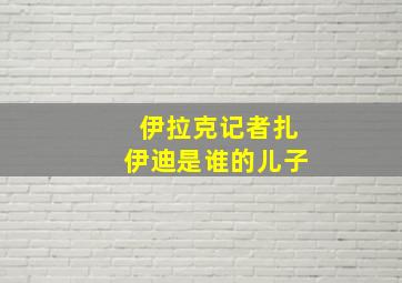 伊拉克记者扎伊迪是谁的儿子