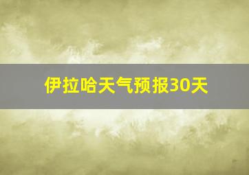 伊拉哈天气预报30天