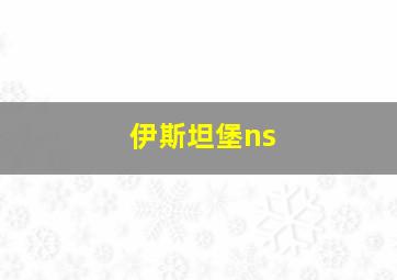 伊斯坦堡ns