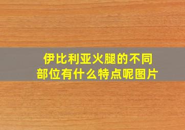 伊比利亚火腿的不同部位有什么特点呢图片