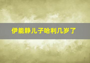 伊能静儿子哈利几岁了