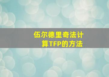 伍尔德里奇法计算TFP的方法