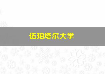 伍珀塔尔大学