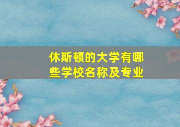 休斯顿的大学有哪些学校名称及专业