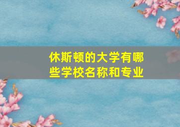 休斯顿的大学有哪些学校名称和专业