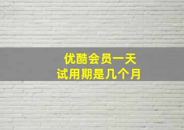 优酷会员一天试用期是几个月