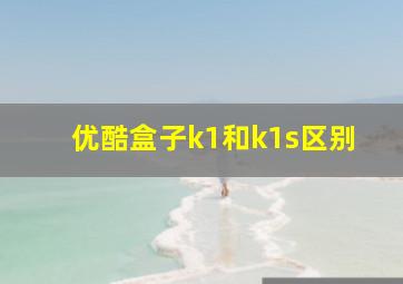 优酷盒子k1和k1s区别