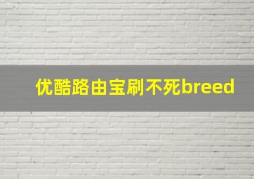 优酷路由宝刷不死breed