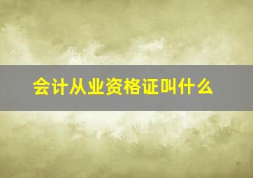 会计从业资格证叫什么