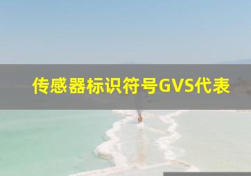 传感器标识符号GVS代表